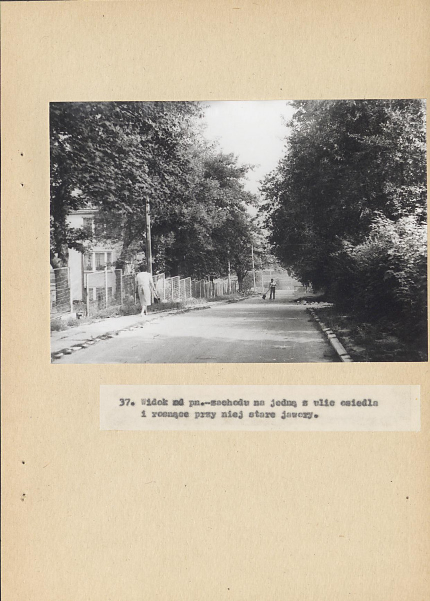EP - Ewidencja parkowa, skan nr 77