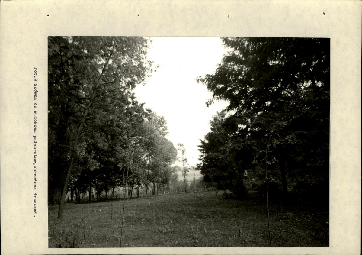 Ewidencja parkowa, skan nr 40