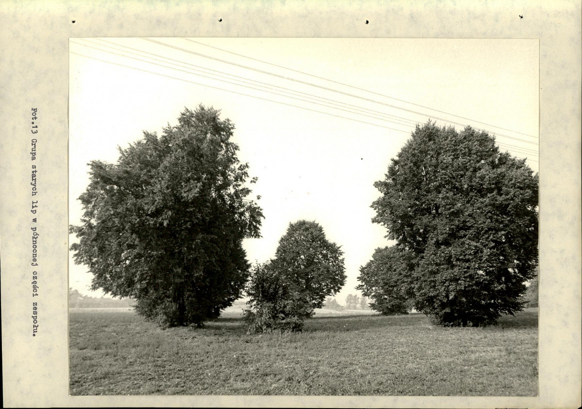 Ewidencja parkowa, skan nr 44