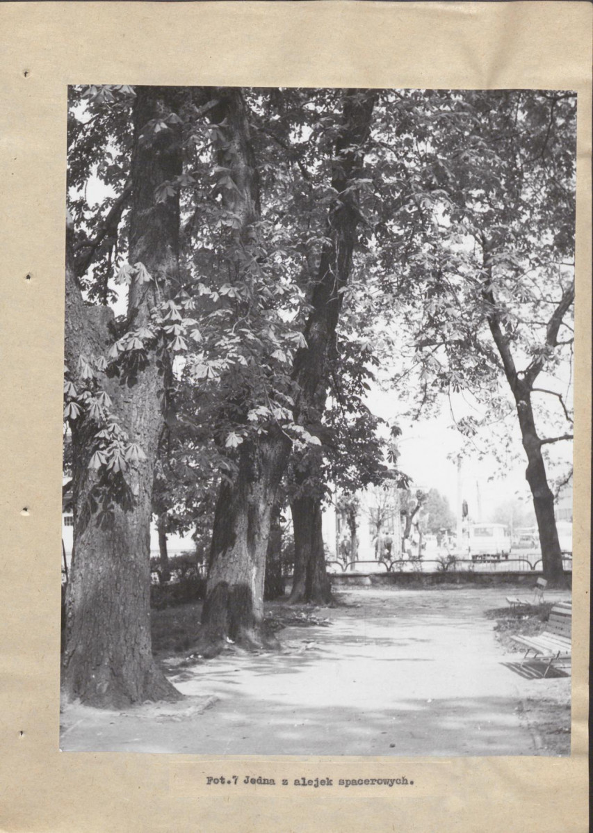 Ewidencja parkowa, skan nr 27