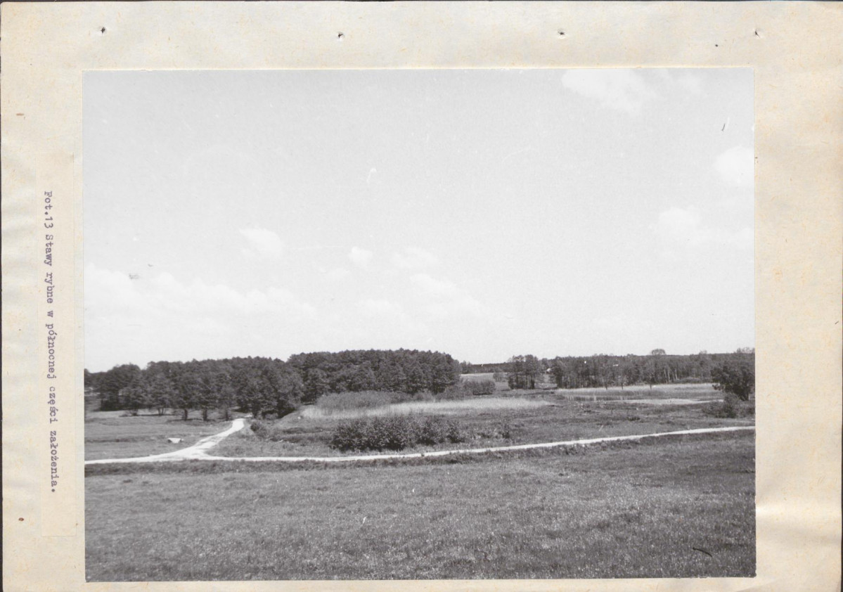EP - Ewidencja parkowa, skan nr 40