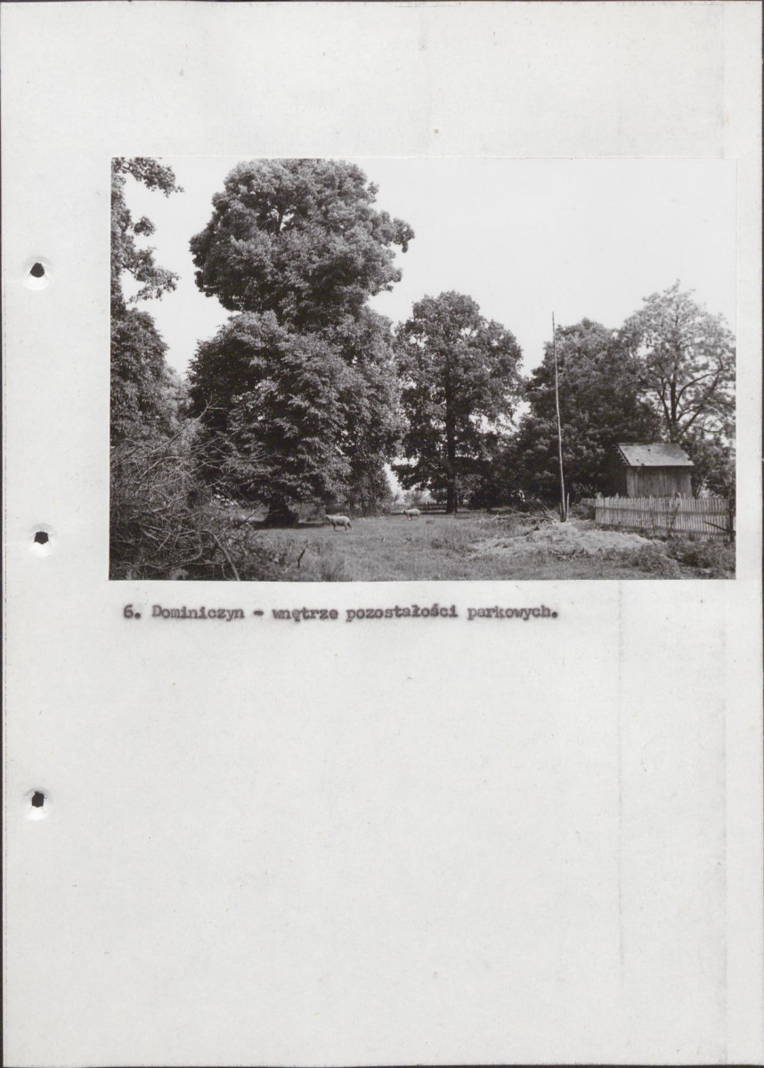 EP - Ewidencja parkowa, skan nr 26