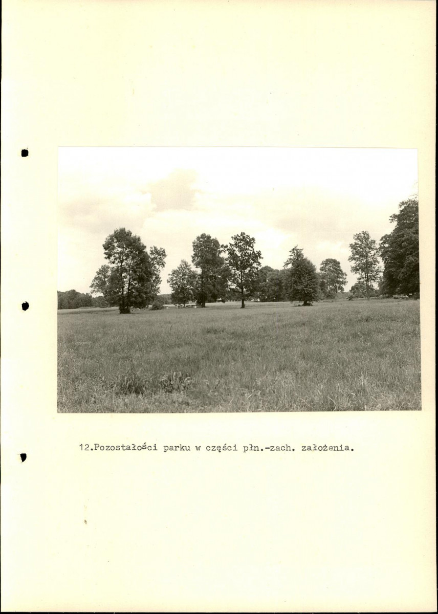 Ewidencja parkowa, skan nr 40