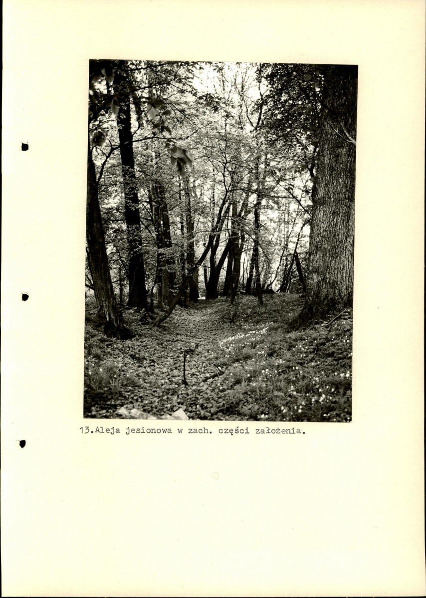 Ewidencja parkowa, skan nr 41