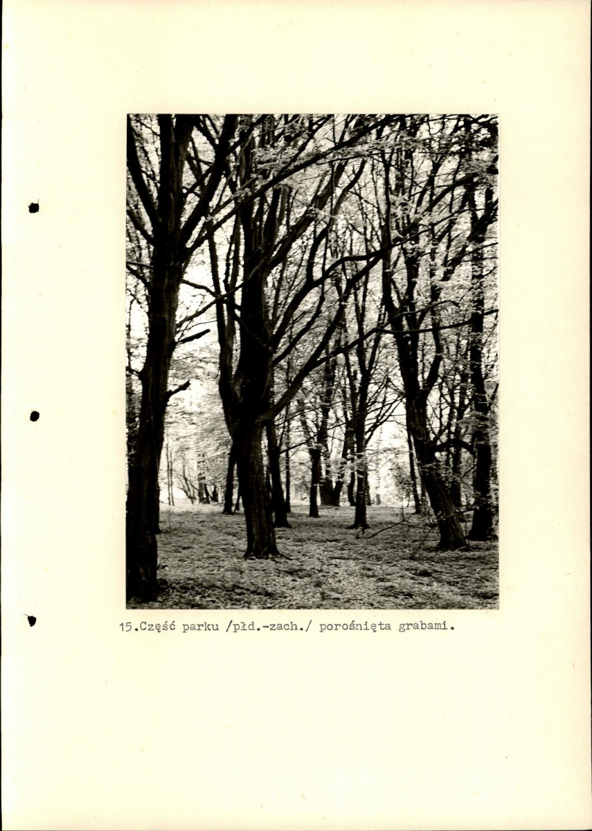 Ewidencja parkowa, skan nr 43