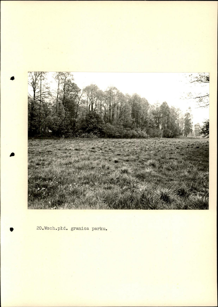 Ewidencja parkowa, skan nr 48