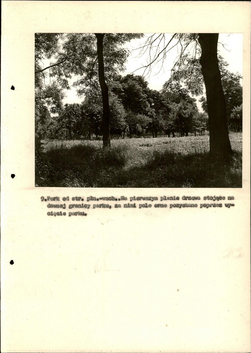 EP - Ewidencja parkowa, skan nr 33