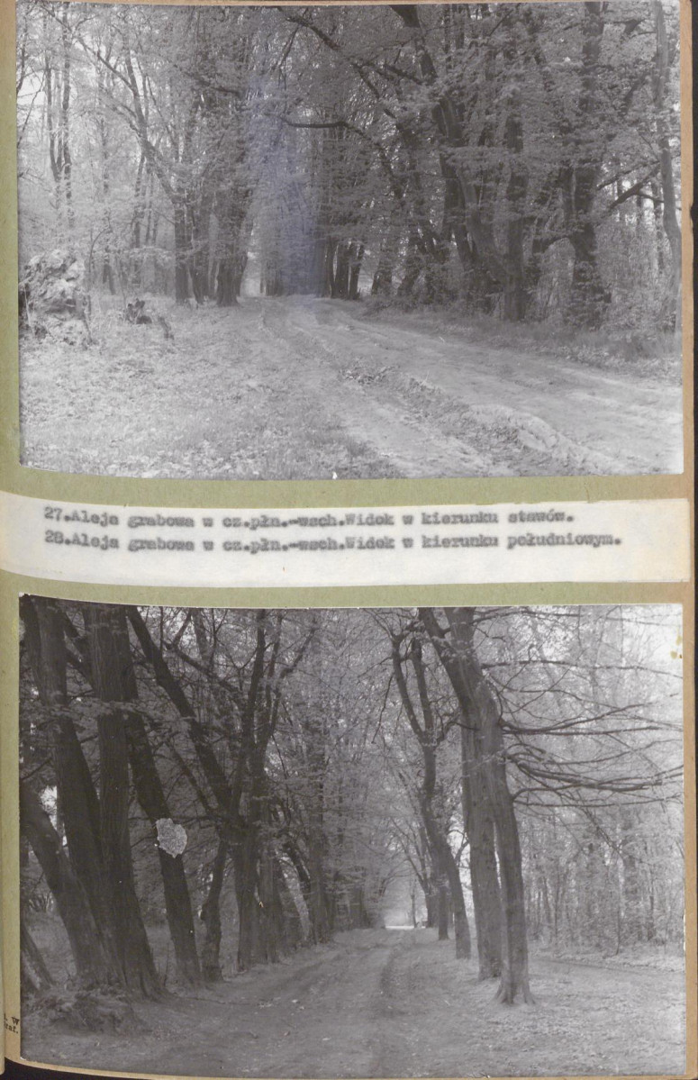 EP - Ewidencja parkowa, skan nr 59