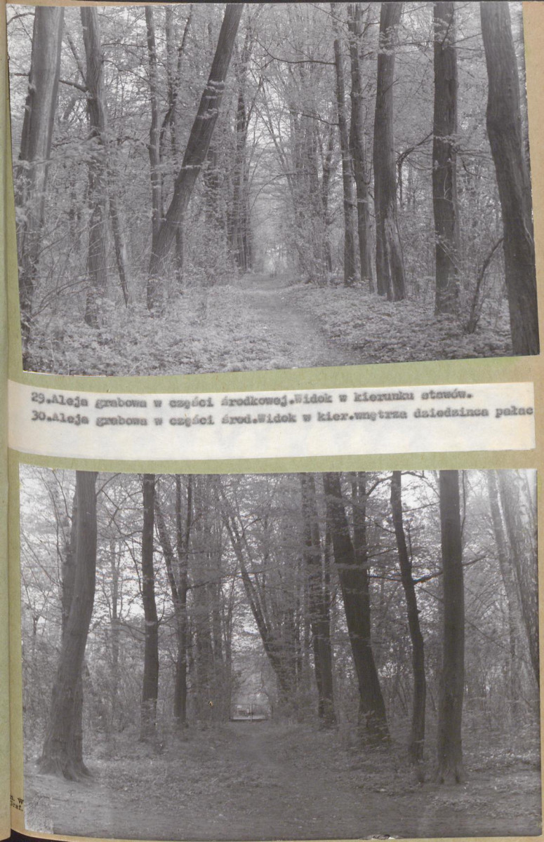 EP - Ewidencja parkowa, skan nr 60