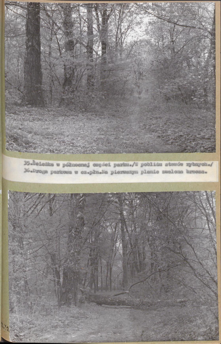 EP - Ewidencja parkowa, skan nr 63