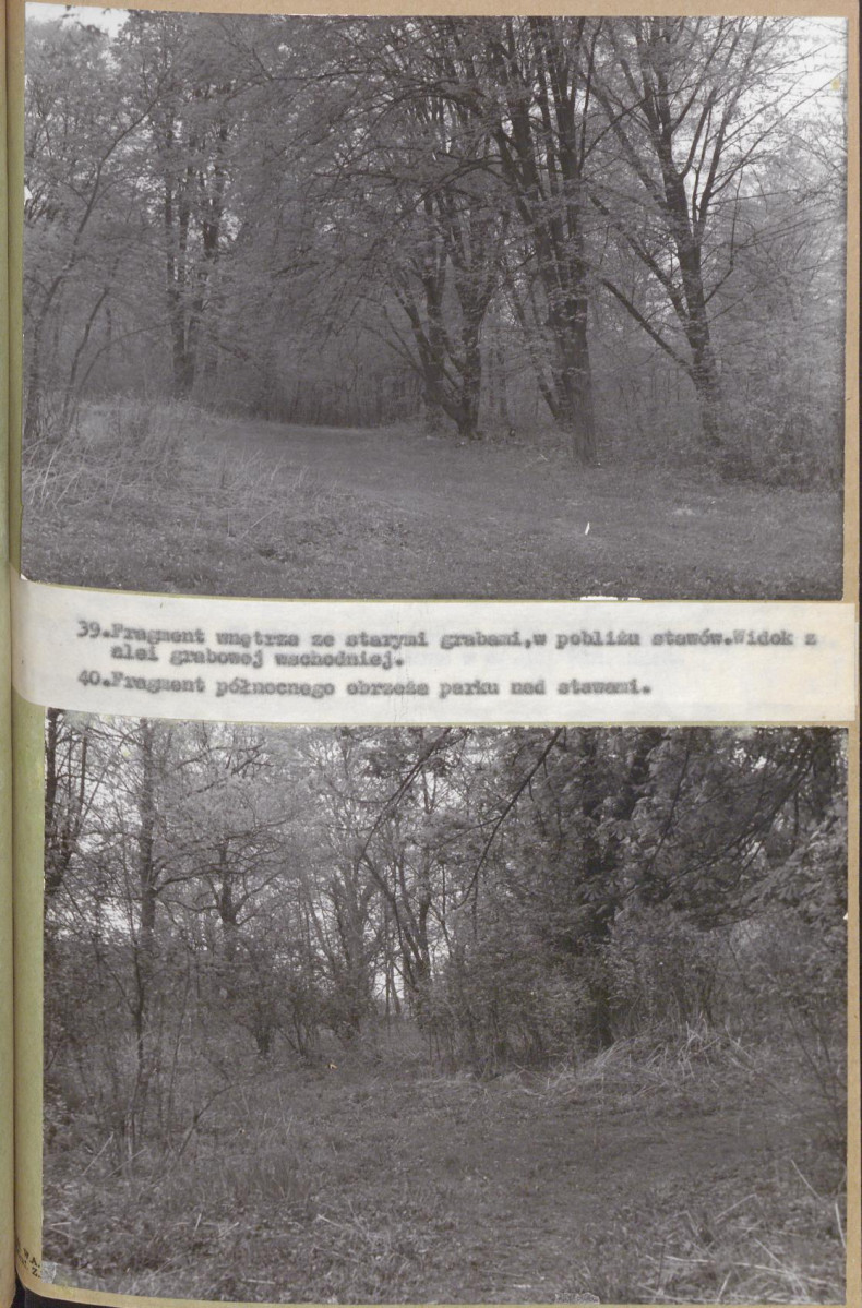 EP - Ewidencja parkowa, skan nr 65