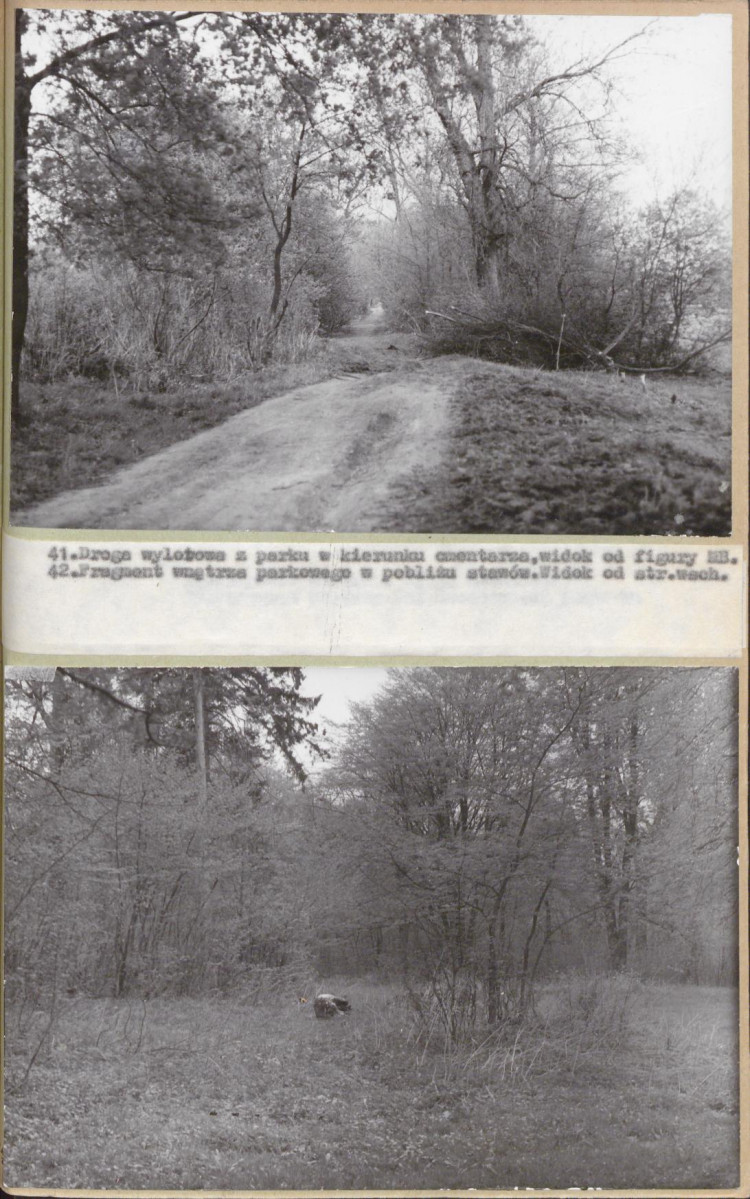 EP - Ewidencja parkowa, skan nr 66