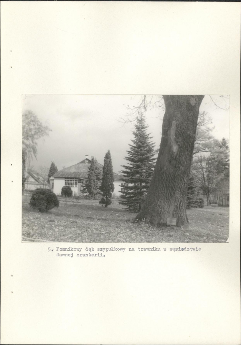 Ewidencja parkowa, skan nr 32