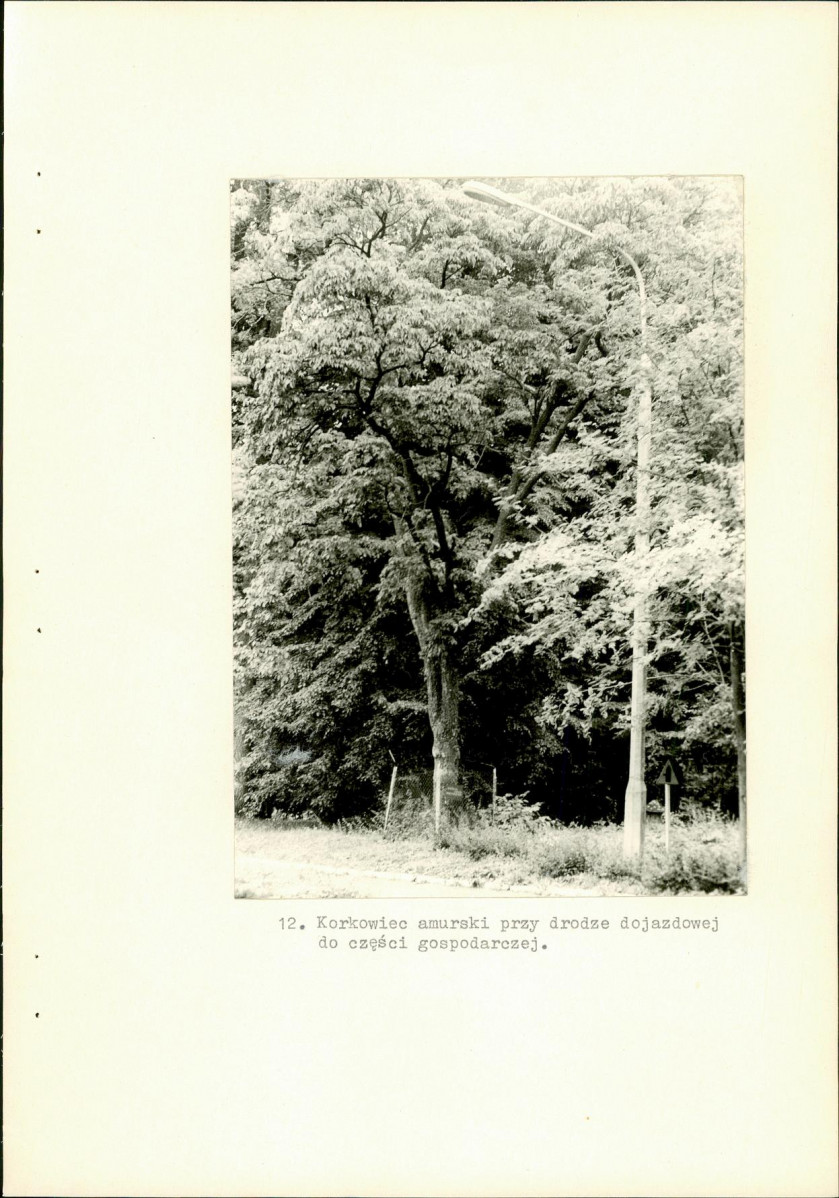 Ewidencja parkowa, skan nr 39