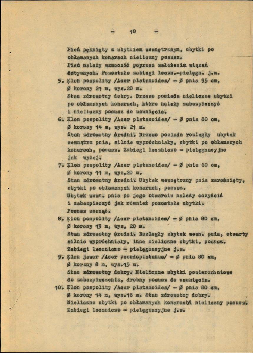 Ewidencja parkowa, skan nr 15