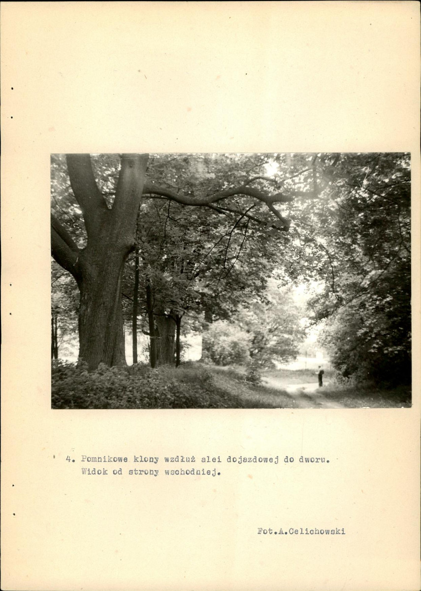 Ewidencja parkowa, skan nr 30