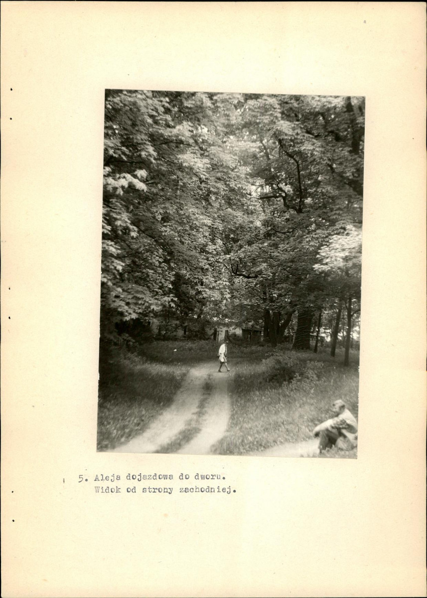 Ewidencja parkowa, skan nr 31
