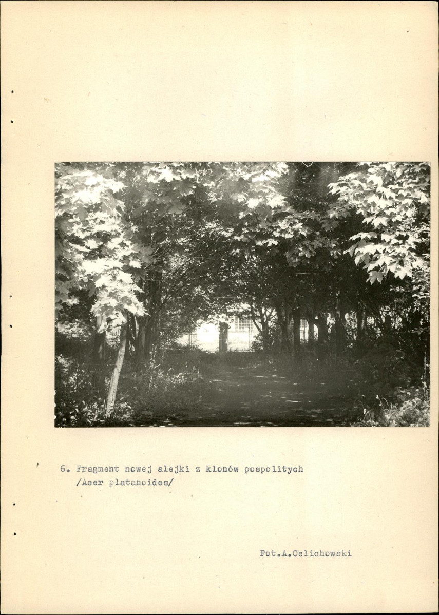 Ewidencja parkowa, skan nr 32