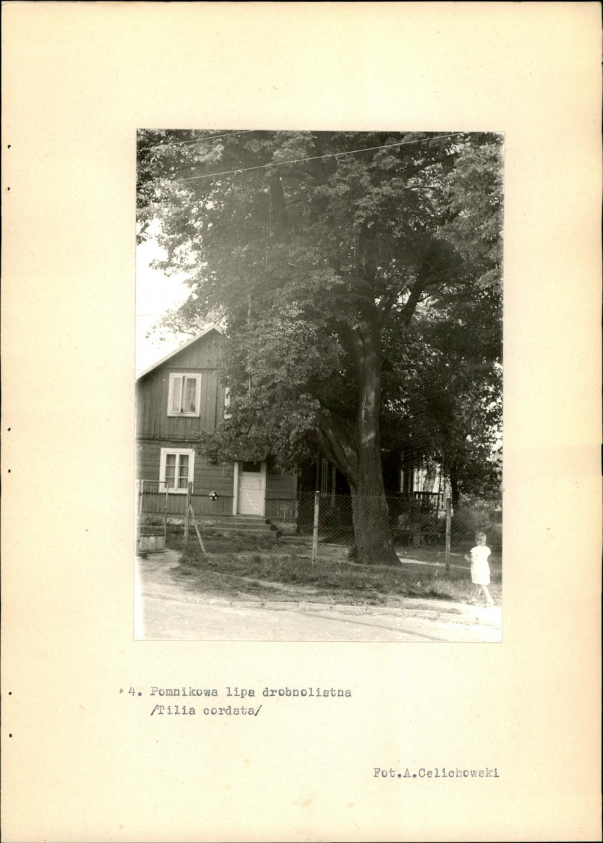 Ewidencja parkowa, skan nr 27