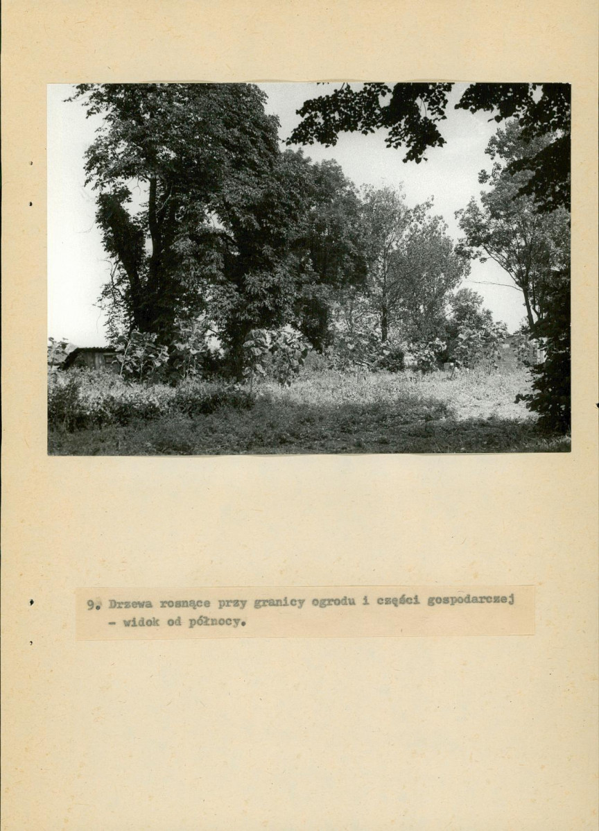 EP - Ewidencja parkowa, skan nr 31