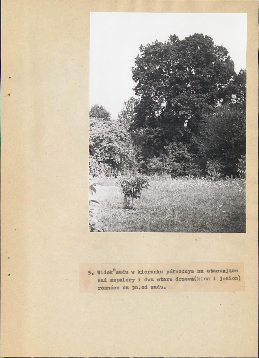 EP - Ewidencja parkowa, skan nr 27