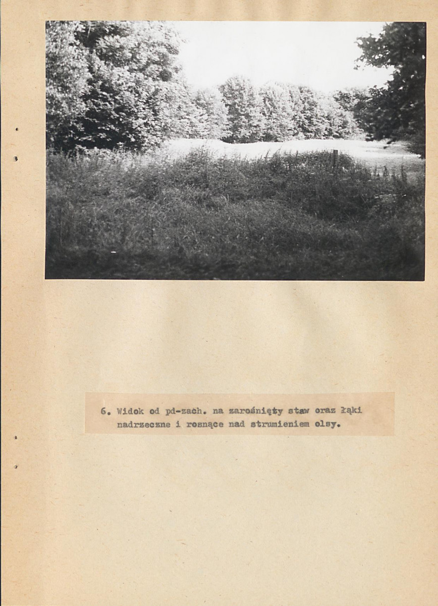 EP - Ewidencja parkowa, skan nr 28