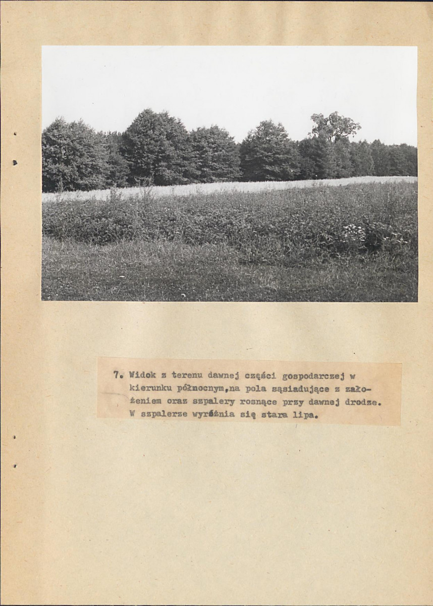 EP - Ewidencja parkowa, skan nr 29