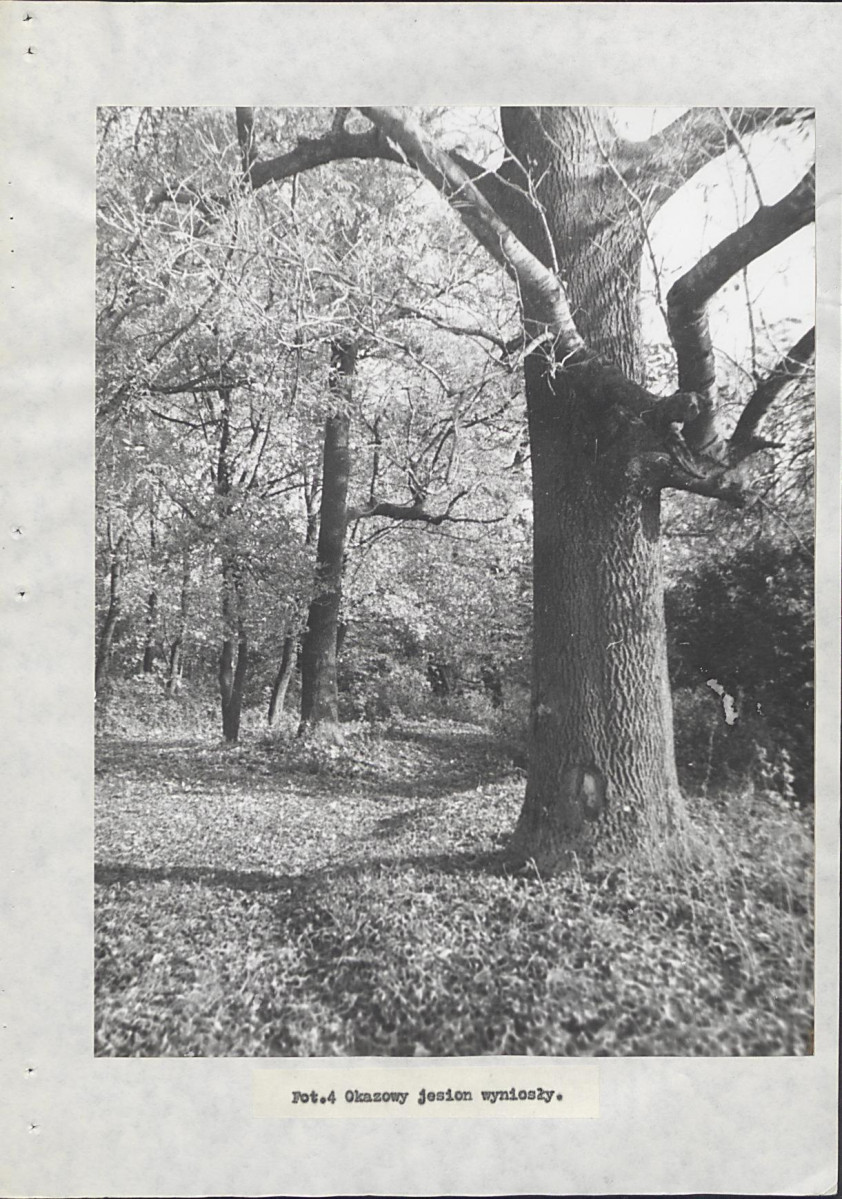 Ewidencja parkowa, skan nr 27