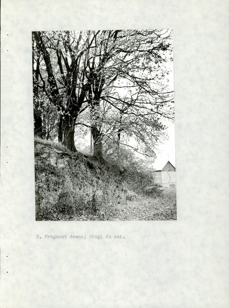 Ewidencja parkowa, skan nr 24