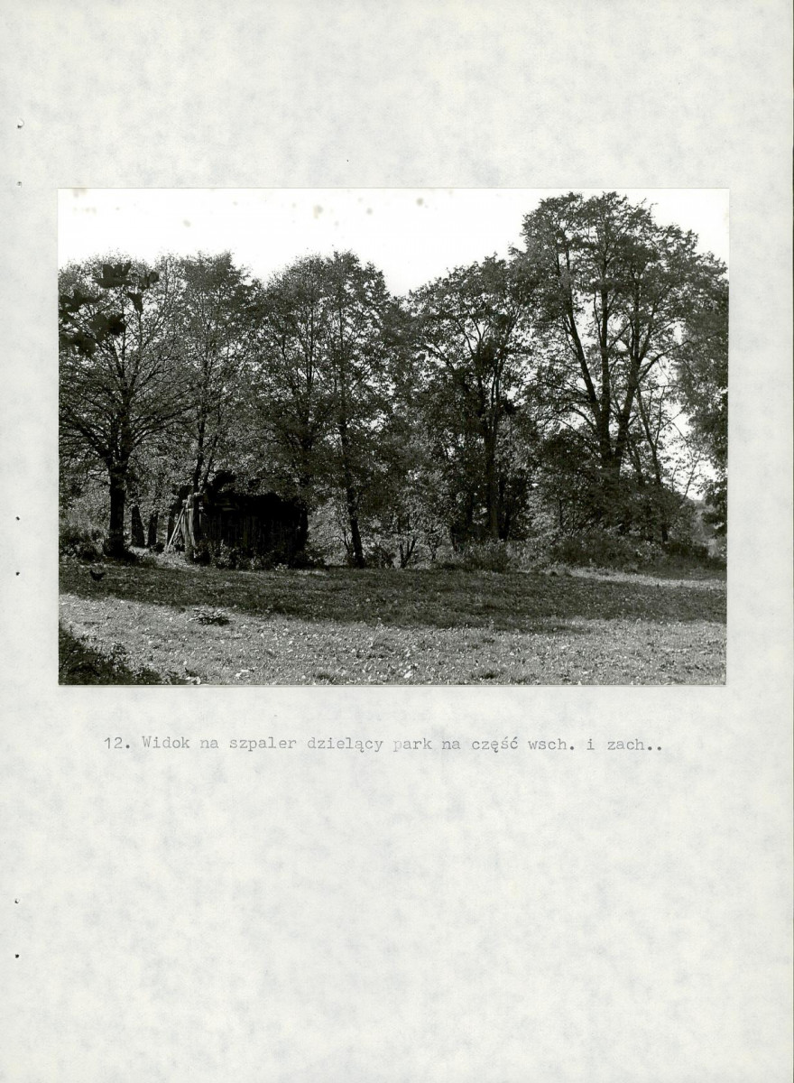 Ewidencja parkowa, skan nr 31