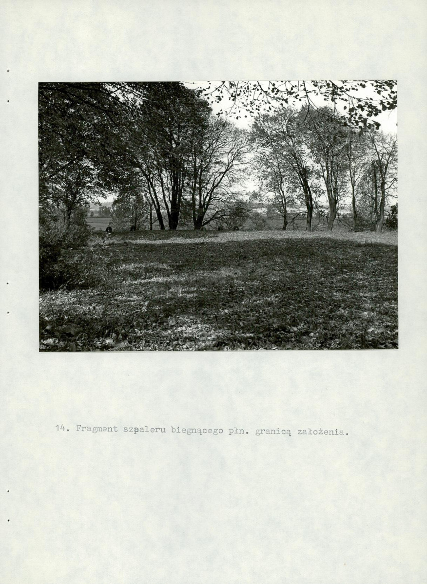 Ewidencja parkowa, skan nr 33