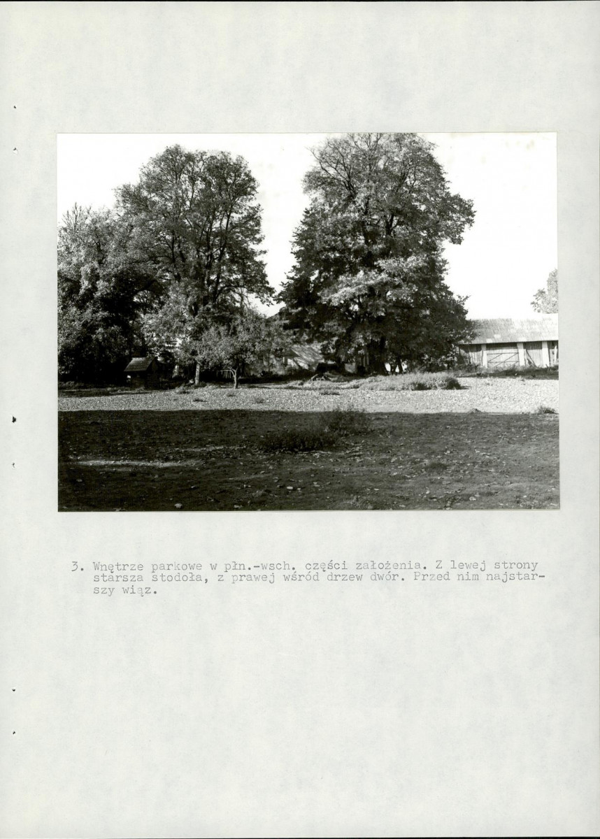 EP - Ewidencja parkowa, skan nr 29