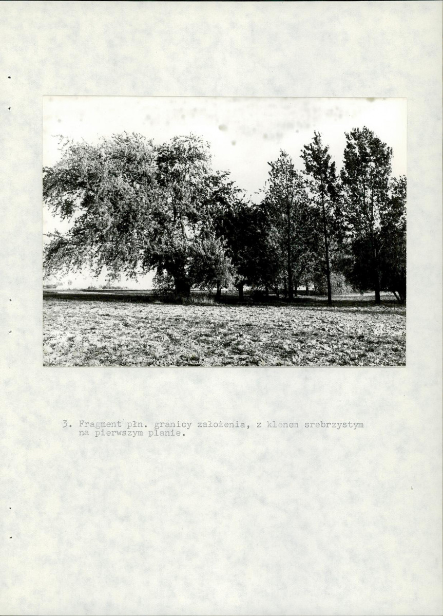 EP - Ewidencja parkowa, skan nr 21