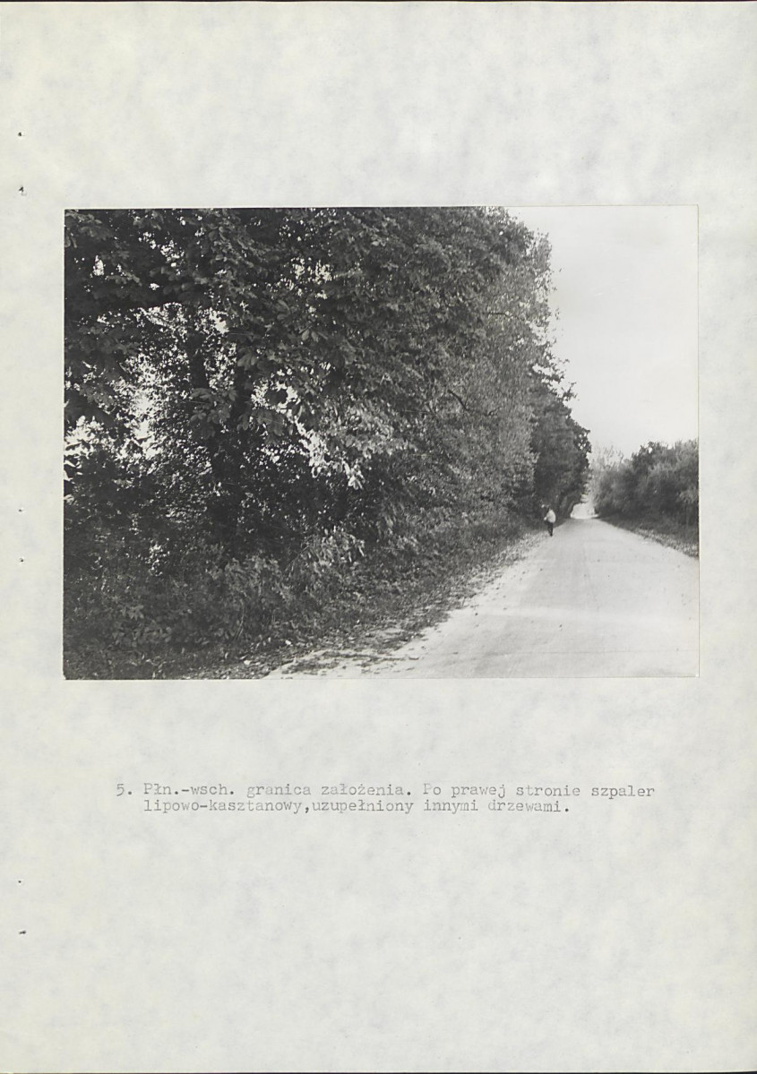 Ewidencja parkowa, skan nr 31