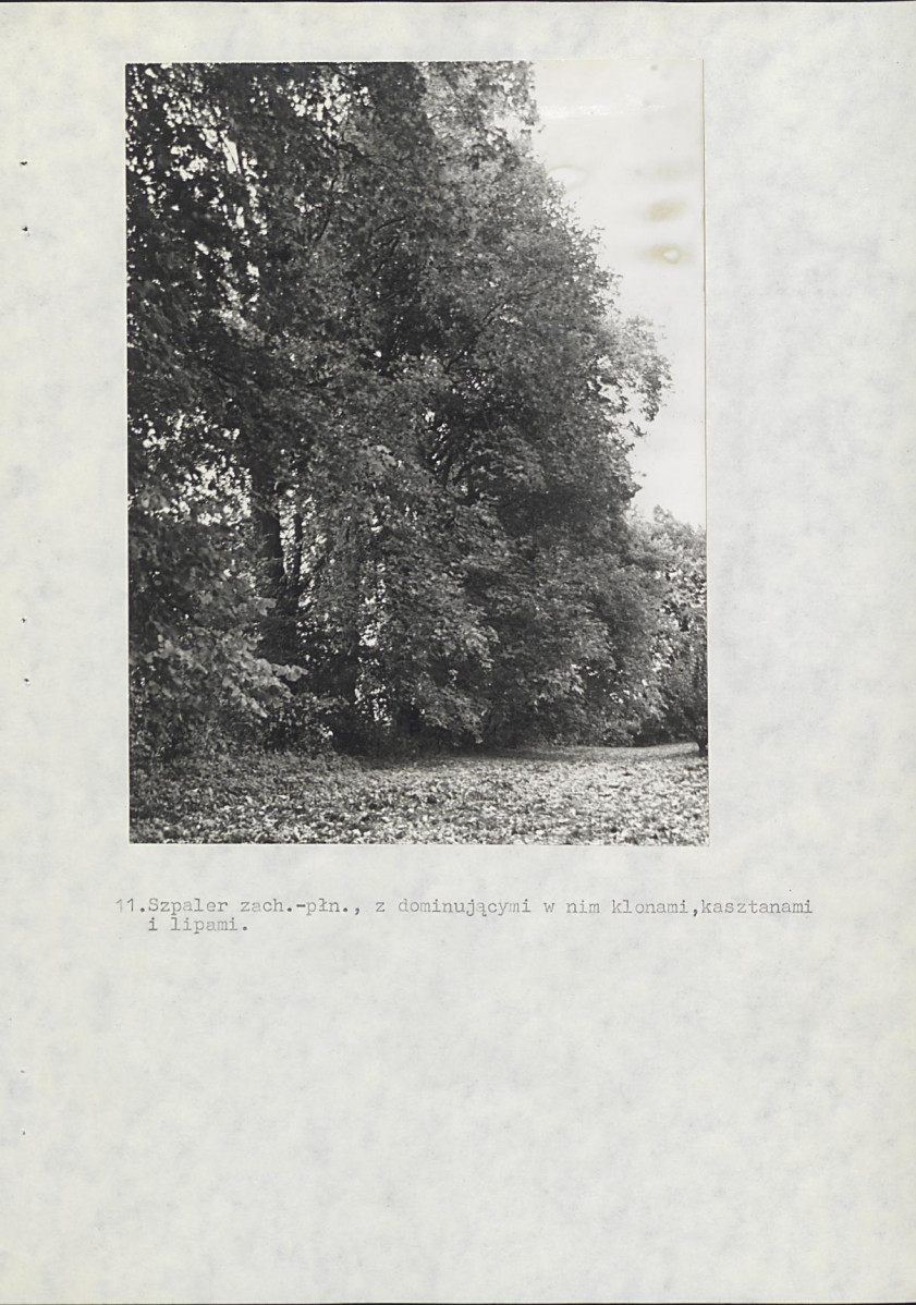 Ewidencja parkowa, skan nr 37