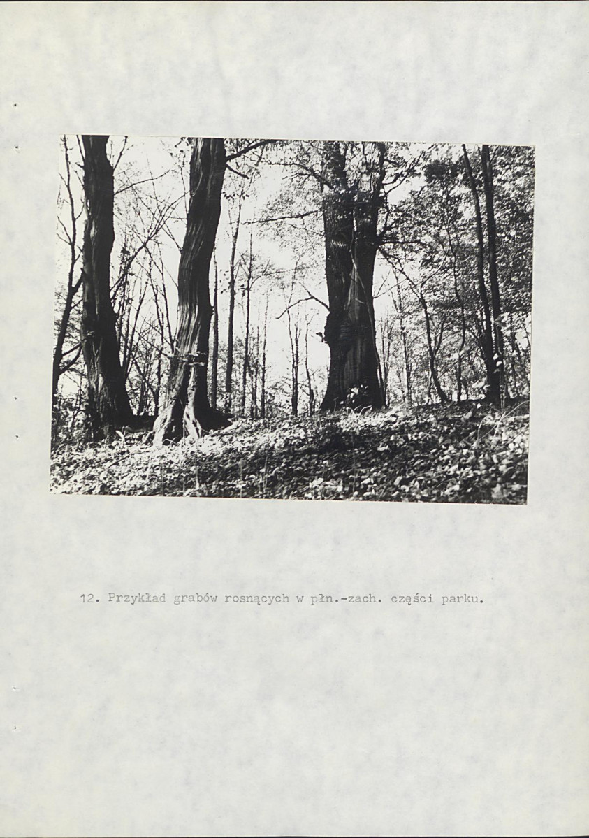 Ewidencja parkowa, skan nr 38