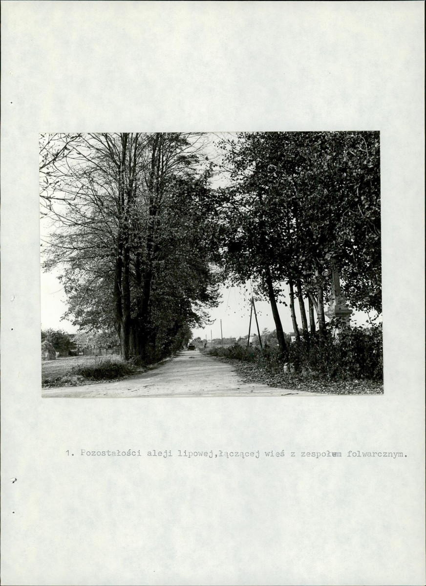 EP - Ewidencja parkowa, skan nr 19