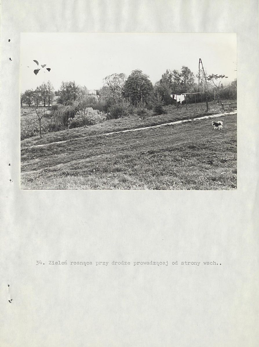 Ewidencja parkowa, skan nr 60