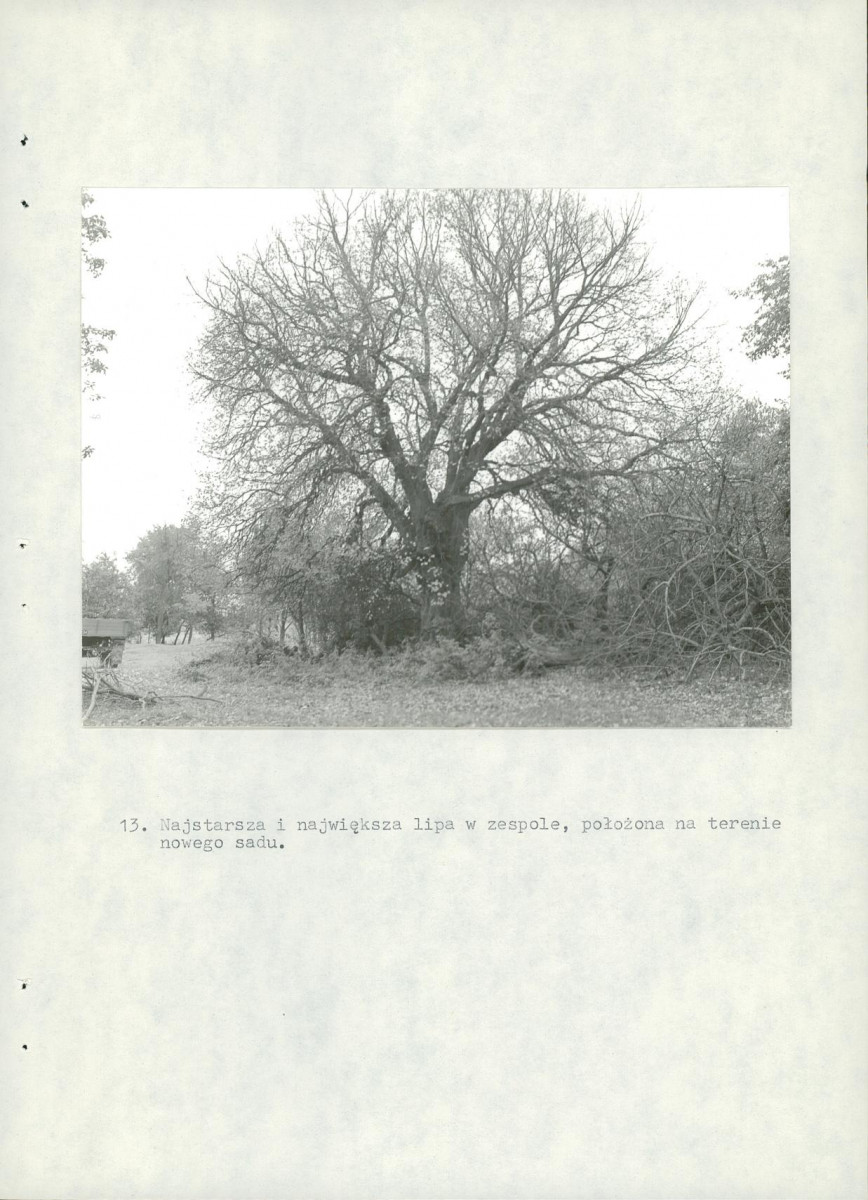 EP - Ewidencja parkowa, skan nr 33