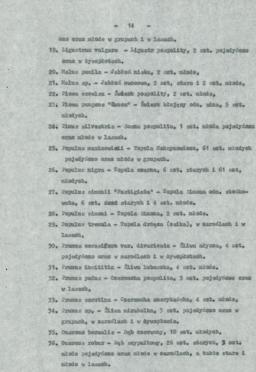 Ewidencja parkowa, skan nr 20
