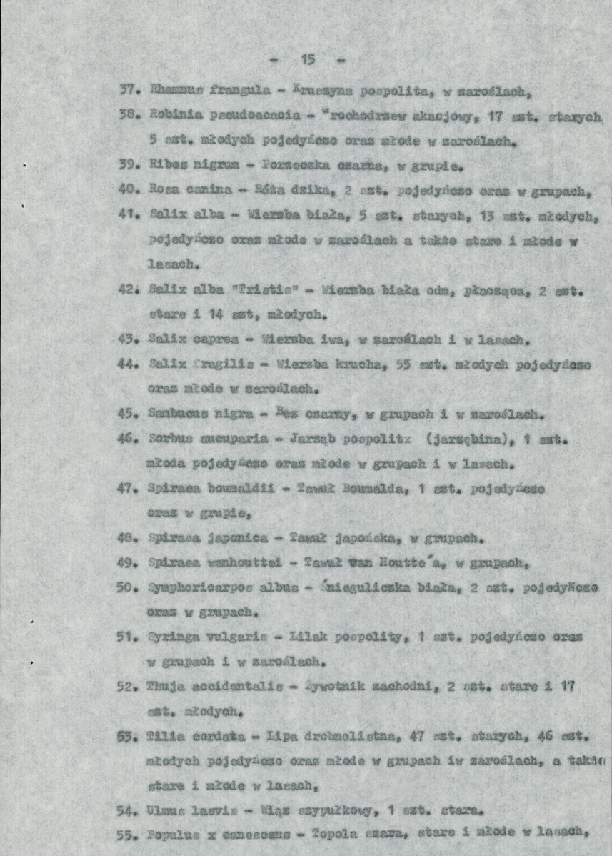 Ewidencja parkowa, skan nr 21