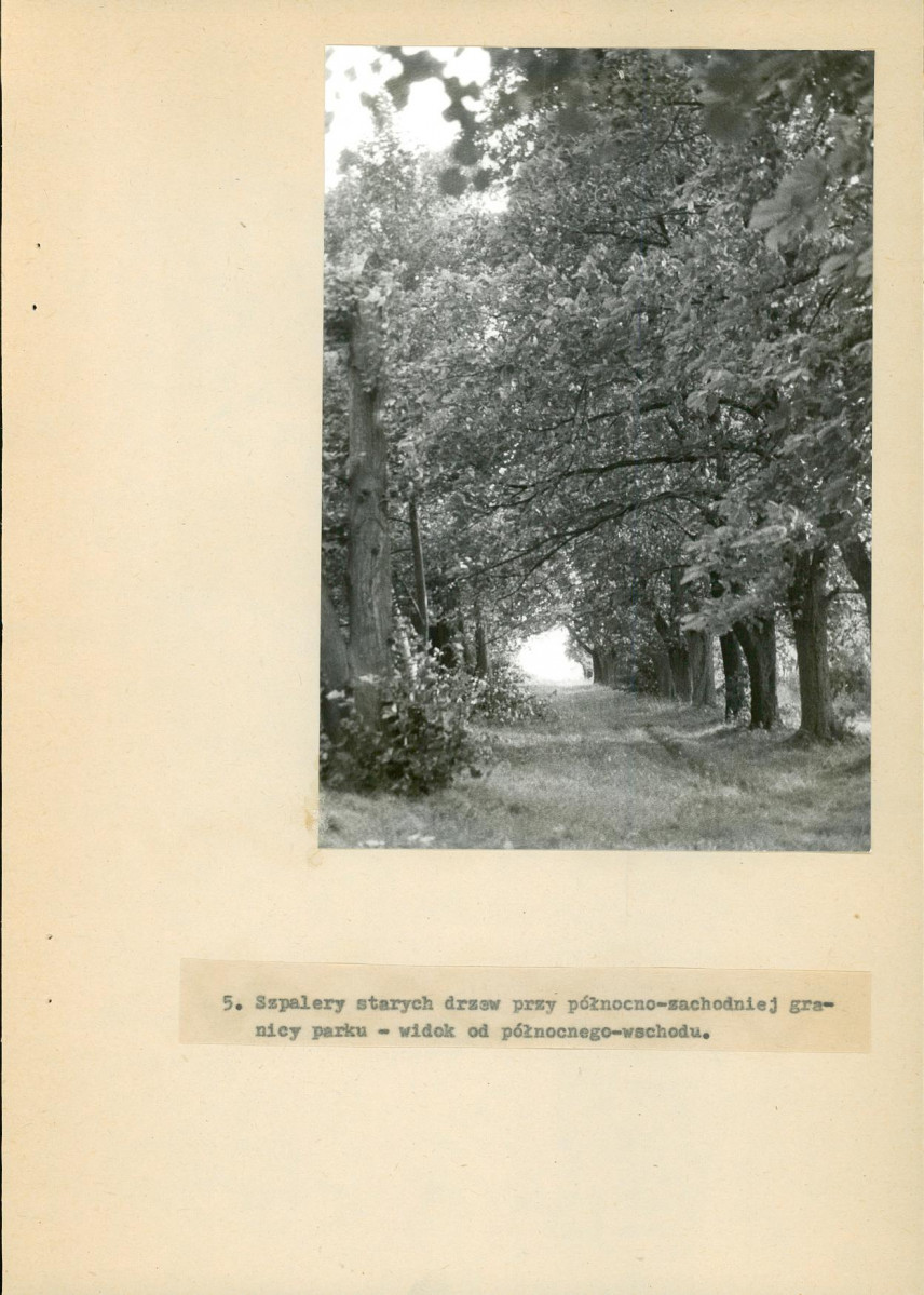 Ewidencja parkowa, skan nr 36