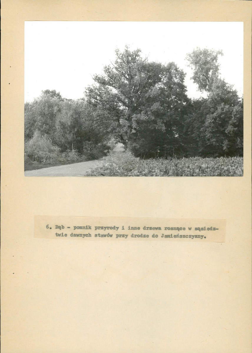 Ewidencja parkowa, skan nr 37