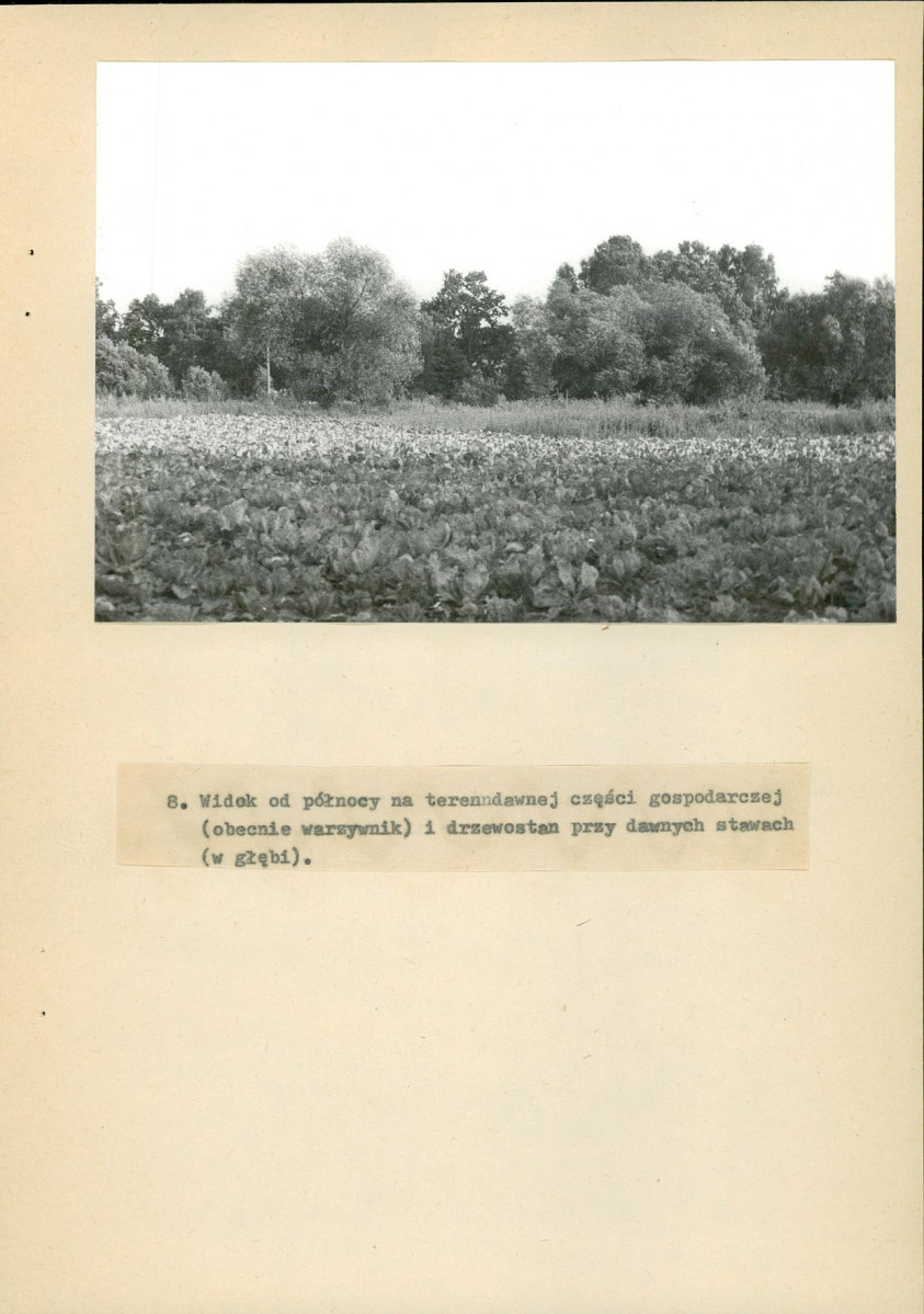 Ewidencja parkowa, skan nr 39