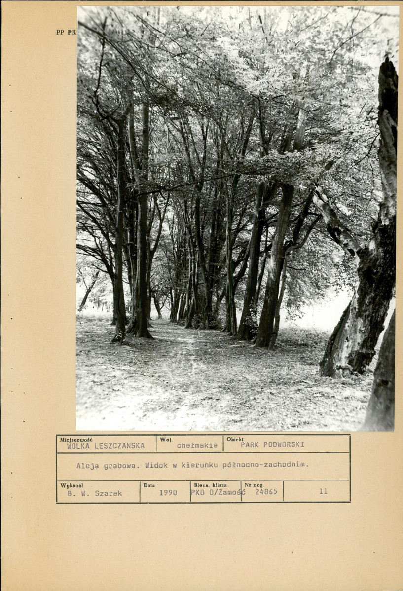 Ewidencja parkowa, skan nr 43