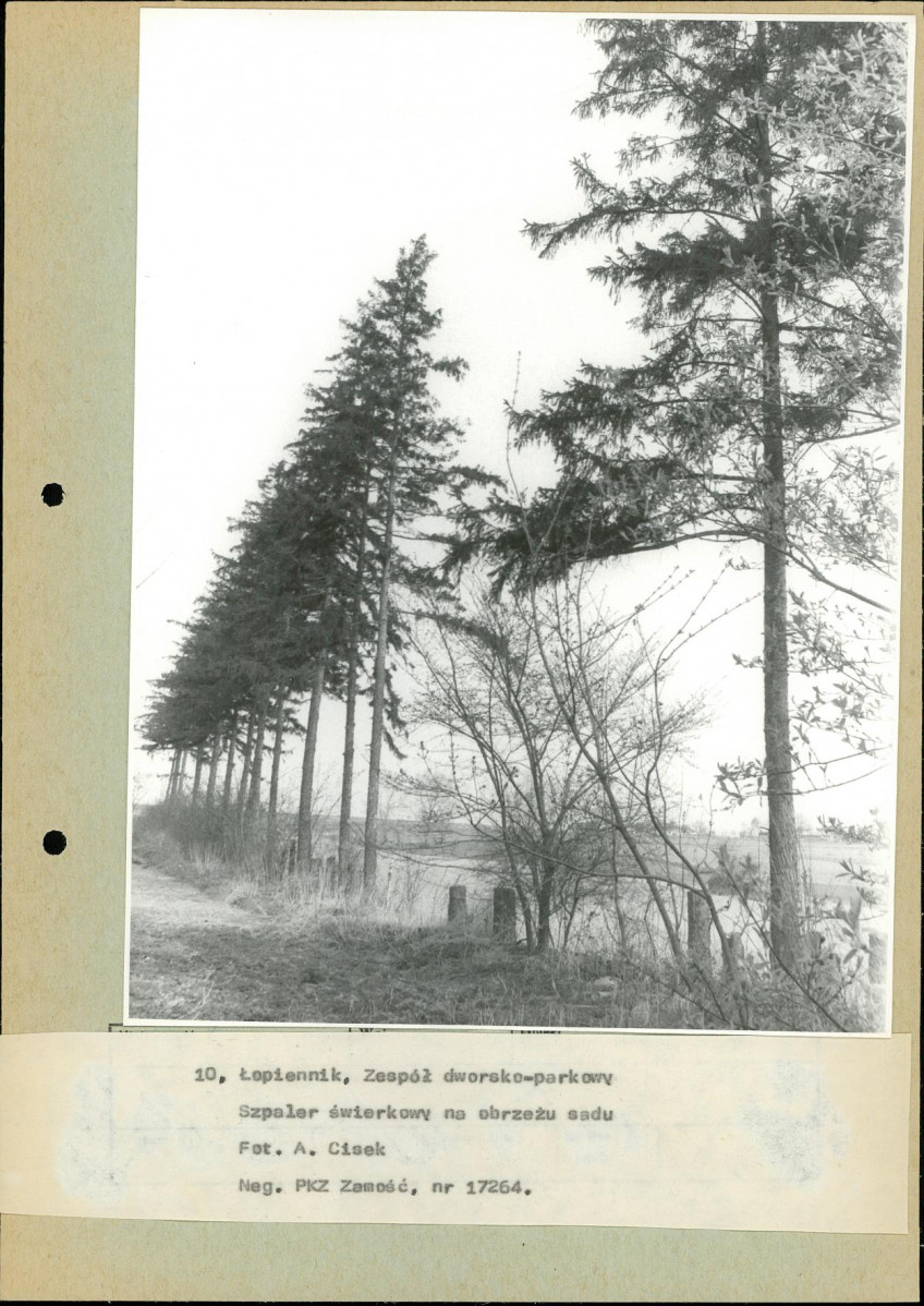 Ewidencja parkowa, skan nr 43