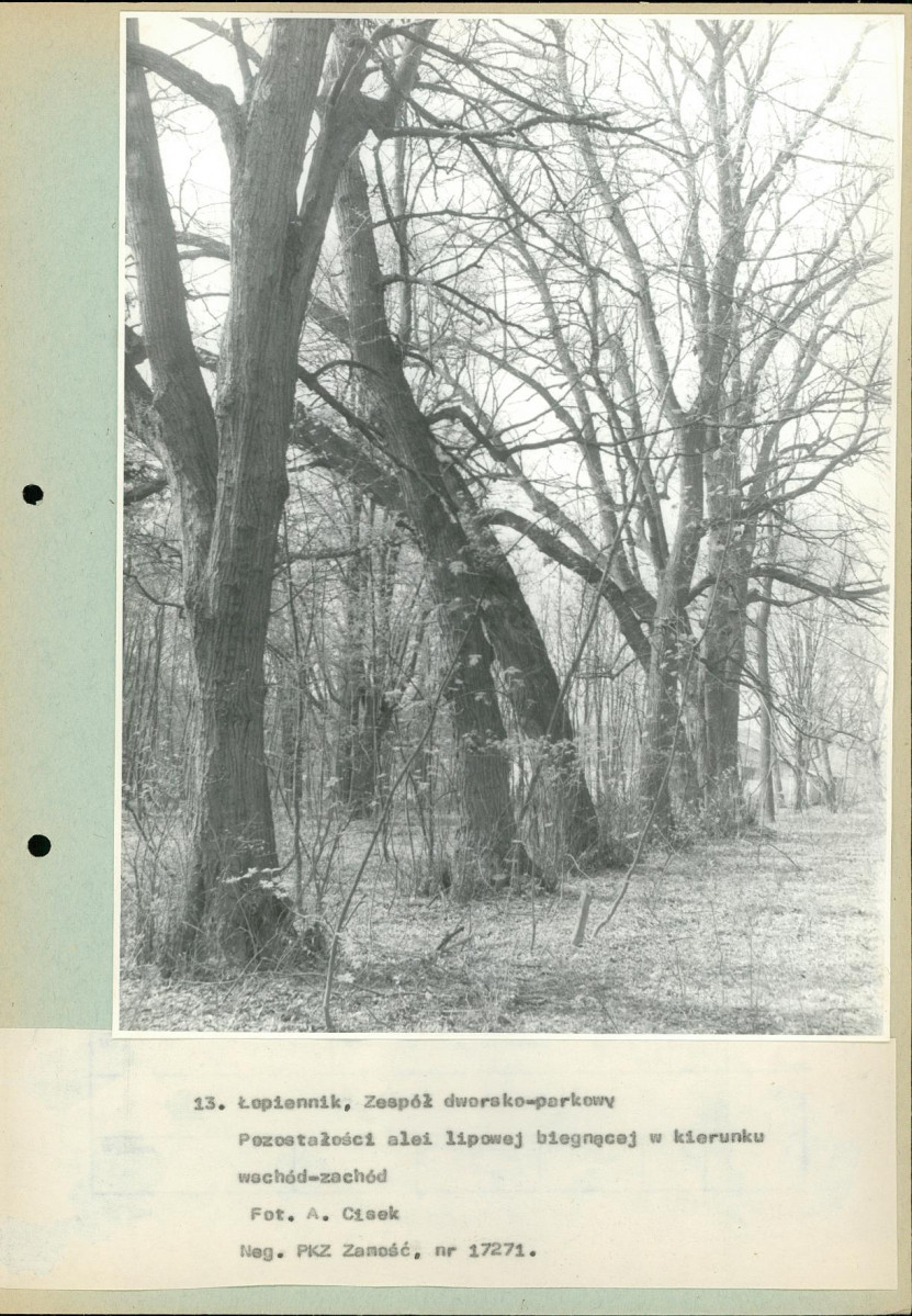 Ewidencja parkowa, skan nr 46