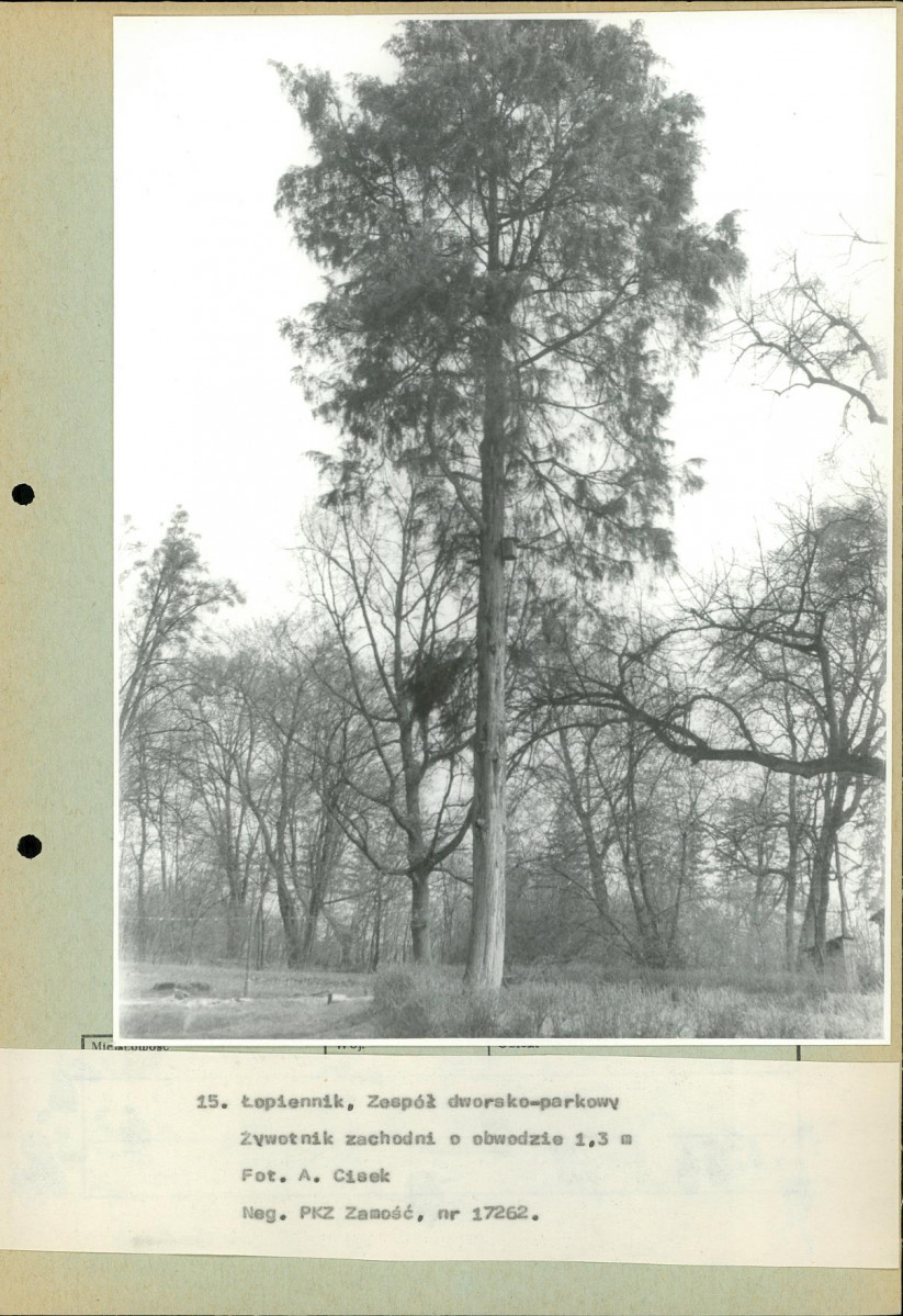 Ewidencja parkowa, skan nr 48