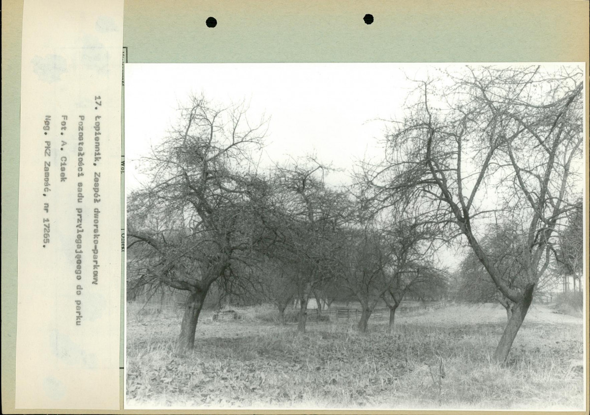 Ewidencja parkowa, skan nr 50