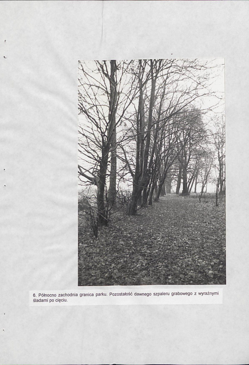 EP - Ewidencja parkowa, skan nr 35